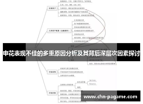 申花表现不佳的多重原因分析及其背后深层次因素探讨