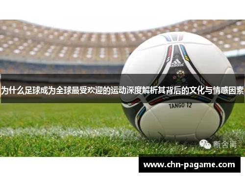 为什么足球成为全球最受欢迎的运动深度解析其背后的文化与情感因素