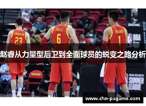 赵睿从力量型后卫到全面球员的蜕变之路分析