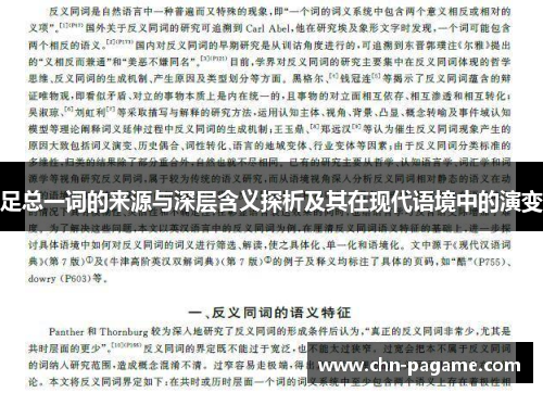 足总一词的来源与深层含义探析及其在现代语境中的演变