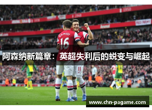 阿森纳新篇章：英超失利后的蜕变与崛起