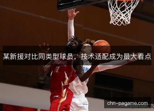 某新援对比同类型球员，技术适配成为最大看点