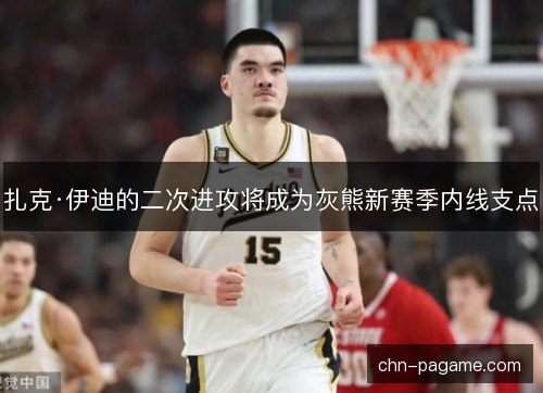 扎克·伊迪的二次进攻将成为灰熊新赛季内线支点